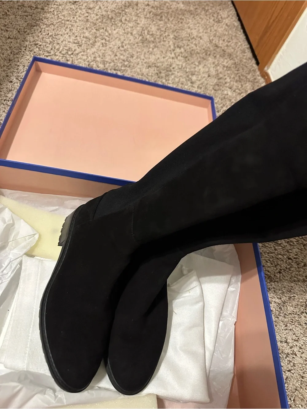 Stuart Weitzman elegant over